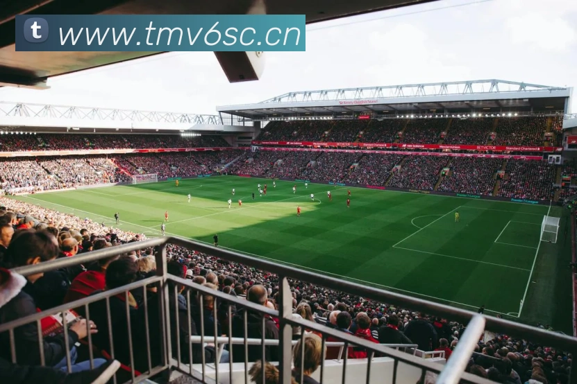 华会体育app官网品牌故事