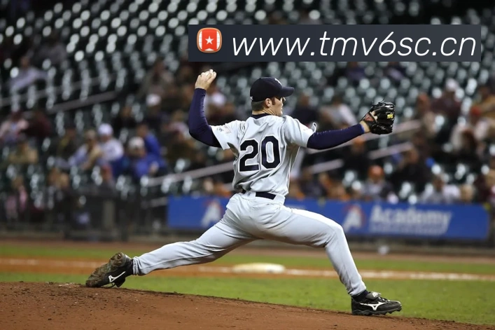 华会体育app官网服务体系